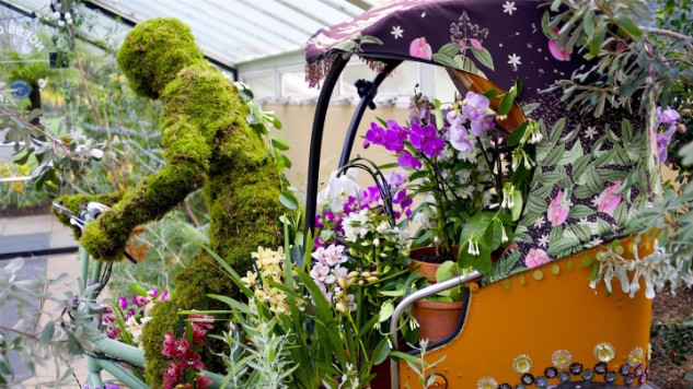 https://www.kew.org/sites/default/files/styles/hero_desktop/public/Feb-half-term_Rickshaw_green_man_DSC01409_hero_web.jpg?itok=xLvhjCjm×tamp=1516639999